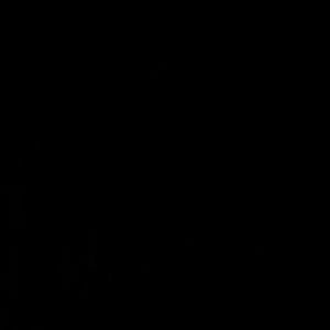 Meet your Posher, Ramon